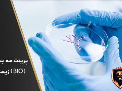 پرینت سه بعدی زیستی